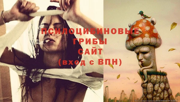 дживик Балабаново