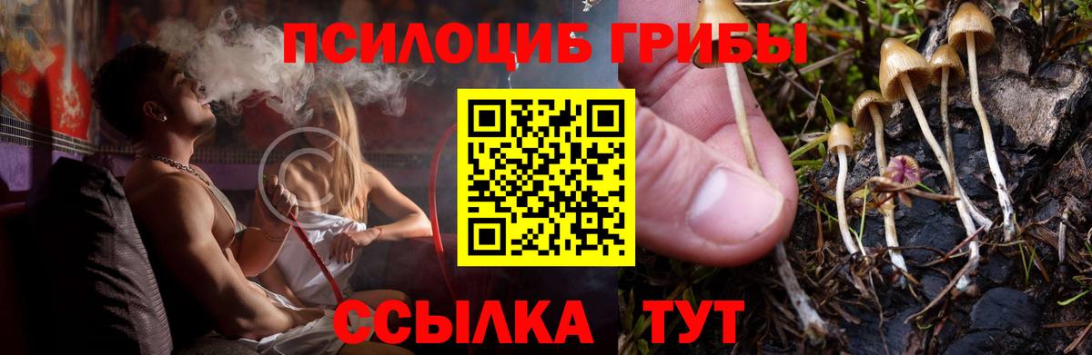 Псилоцибиновые грибы MAGIC MUSHROOMS  Псилоцибиновые грибы мицелий  Вход с VPN  Белая Калитва 