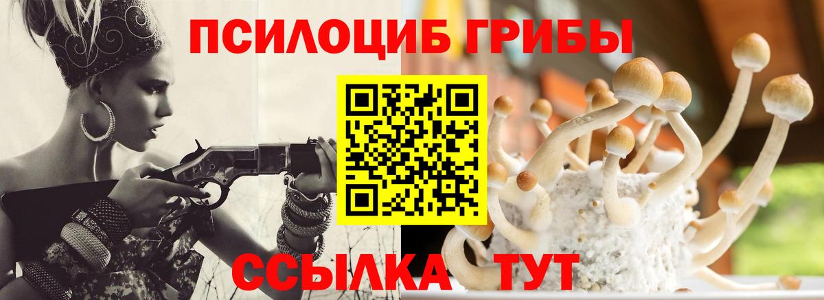 Галлюциногенные грибы Cubensis Белая Калитва