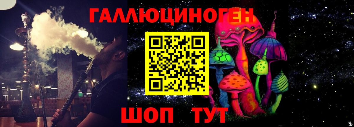 Псилоцибиновые грибы Psilocybe Белая Калитва